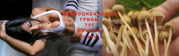 МДМА Алексеевка