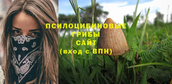 кристаллы Алзамай