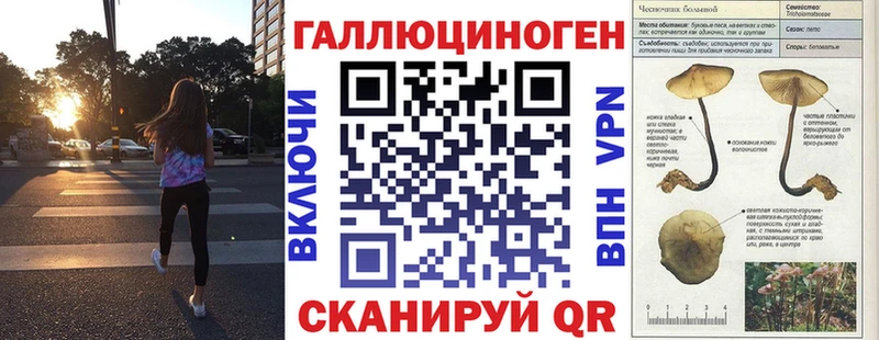 купить   Краснообск  Псилоцибиновые грибы Psilocybine cubensis 